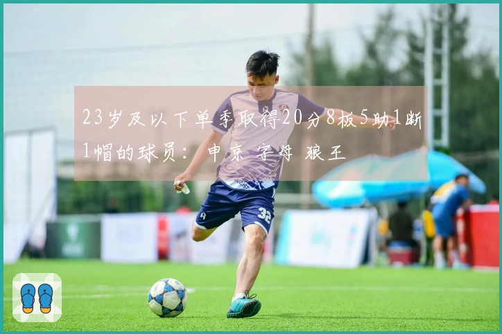 23岁及以下单季取得20分8板5助1断1帽的球员：申京 字母 狼王